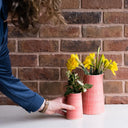 Musango Pitcher Sgraffito Stripe - Rose