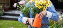Musango Pitcher Stripe - Tangerine